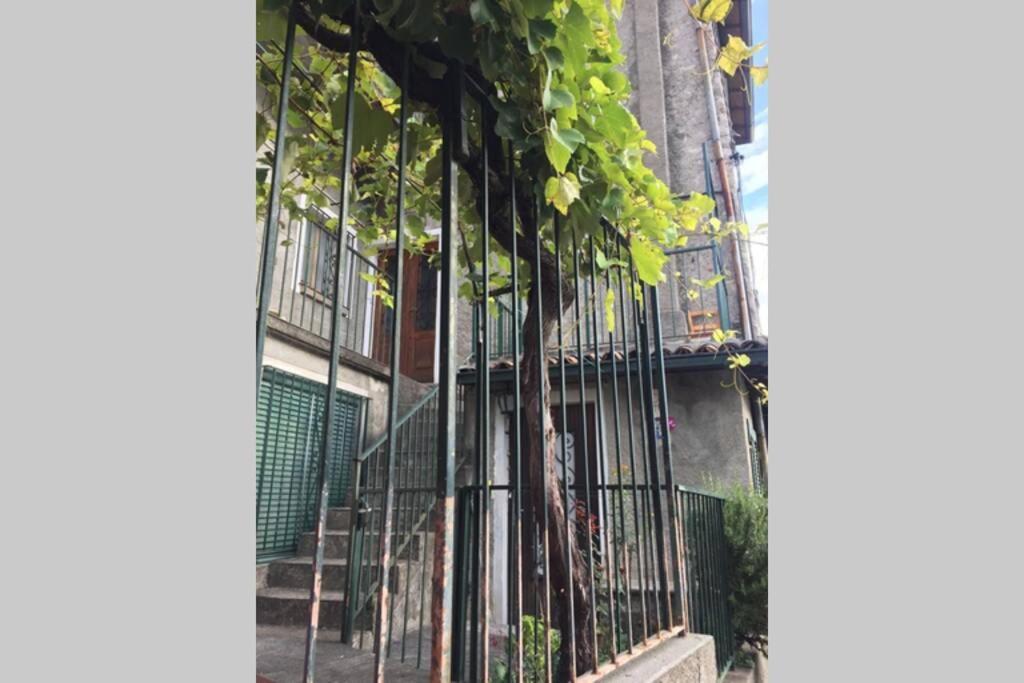 Valsolda Nel Set Di Piccolo Mondo Antico Villa Viola מראה חיצוני תמונה
